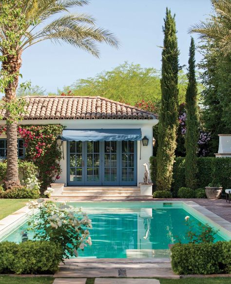 Small Pool Houses, Yard Renovation, French Country Aesthetic, Landscape Renovation, Mediterranean Pool, Phoenix Homes, Rectangular Pool, Spanish Style Homes, Backyard Pool Designs