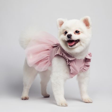 Dogs Wedding, Pink Dog Dress, Cat Winter, Dog Wedding Dress, Puppy Dress, Pet Sweater, Mini Dogs, Pet Dress, Dog Dress