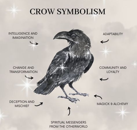 Raven Name, Crow Symbolism, Raven Magic, Raven Aesthetic, Crow Spirit Animal, Crows Aesthetic, The Otherworld, Spirit Animal Meaning, Animal Meanings