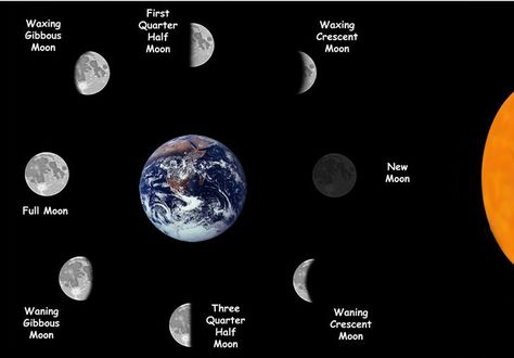 Moon phases, beginning with new moon & going counter-clockwise #astrology #nature Moon Moon, Albert Einstein, Science Resources, New Moon Full Moon, Science Stories, My Father's World, Lunar Phase, Look At The Moon, Sky Moon