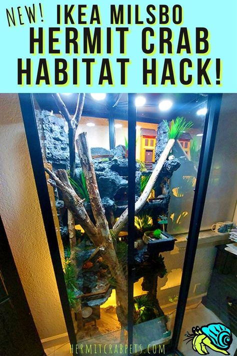 Ikea Milsbo, Crab Habitat, Hermit Crab Habitat, Hermit Crab Tank, Pet Lizards, Hermit Crabs, Hermit Crab, Photos Ideas, Longer Life