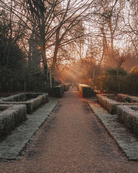 Morning Frost, Morning Photography, Frosty Morning, Cold Morning, Bright Winter, Winter Mornings, Very Cold, Winter Magic, January 27