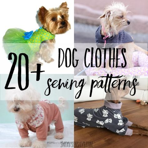 Cutest paid & free printable dog clothes patterns - Swoodson Says Dogs Essentials, Pig Treats, Dog Shirt Pattern, Dog Jacket Patterns, Small Dog Clothes Patterns, Pet Clothes Patterns, Dog Clothes Patterns Sewing, Yorkie Clothes, Dog Dress Pattern