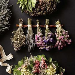 Naturopath Office, Drying Flowers, Hanging Herbs, Magia Das Ervas, Mauve Wedding, Floral Swag, Dry Flower, Fig Leaves, Dry Flowers