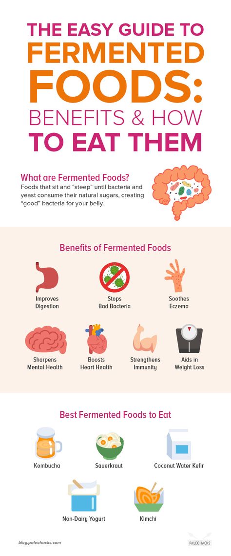 Get to know the extraordinary benefits behind fermented foods, and discover the best fermented foods to add to your diet. Benefits Of Fermented Foods, Fermented Foods Benefits, Probiotic Foods, Natural Antibiotics, Natural Sugar, Fermented Foods, Body Sculpting, Kefir, Gut Health