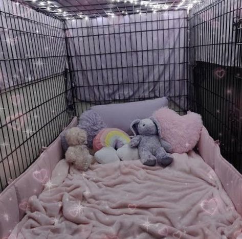 Puppy Cage, Puppy Room, Puppy Time, Pet Spaces, Puppy Play, Little Puppies, Cute Little Things, Safe Space, الرسومات اللطيفة