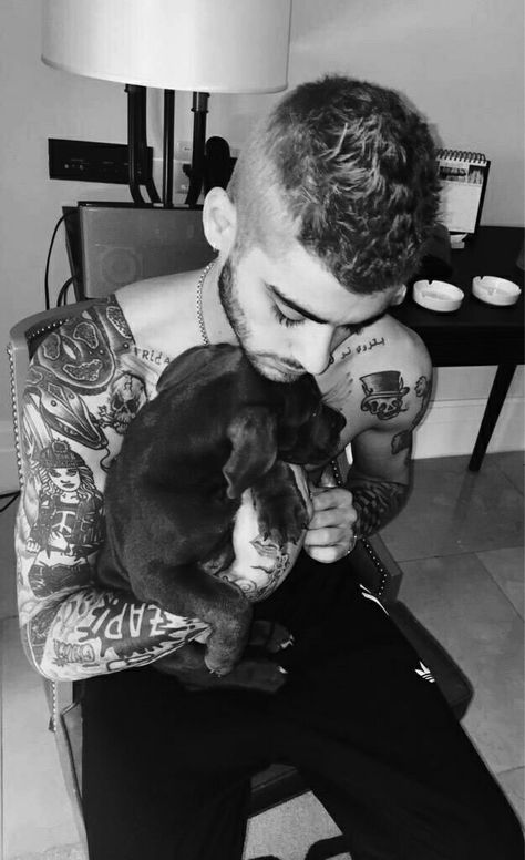 Zayn Malik Boyfriend, Zayn Malik Boyfriend Material, Zayn Malek, Zayn Malik Birthday, Zayn 1d, Zayn And Gigi, Gigi And Zayn, Zayn One Direction, Boyfriend Material Wallpaper