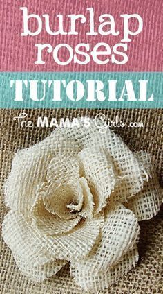 Edible Ghosts, Burlap Roses Tutorial, Gratitude Pumpkin, Handmade Flowers Tutorial, Spider Cookies, Thanksgiving Placemats, Burlap Roses, Gratitude Activities, Burlap Ideas