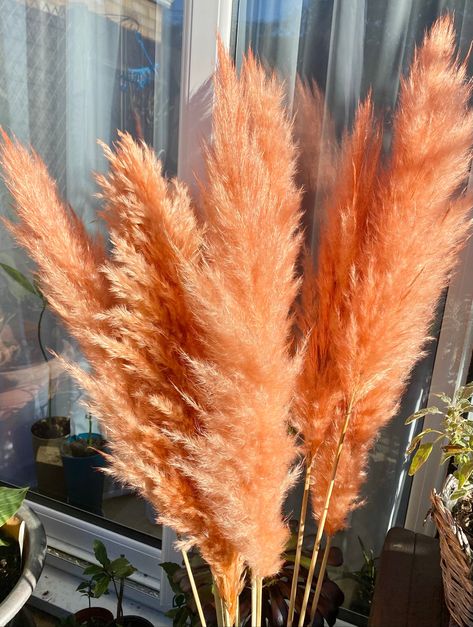 Pampas Vase, Wedding Arch Decor, Pink Pampas Grass, Arch Decor, Autumnal Wedding, Pampas Grass Bouquet, Big Vases, Boho Wedding Bouquet, Work Office Decor