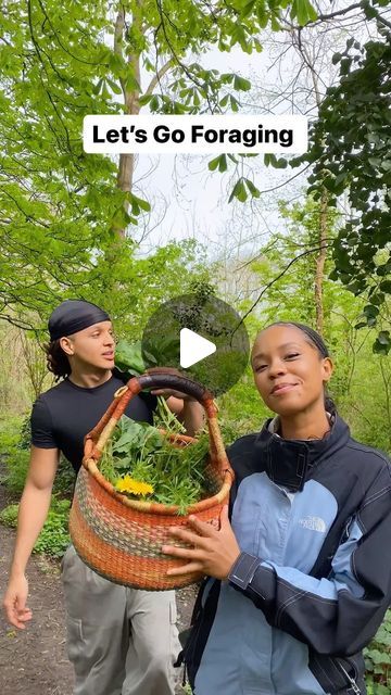 Jason Mackson Adetola on Instagram: "Restoration of knowledge! Join us on the 5th of May, as we forage for edible & medicinal foods/herbs in London. 

Group foraging walk. Everyone is welcome. Come by yourself or bring your friends. Children come for free. Foraging is for everyone 🤲🏽

Limited spots available. Link in bio. 

On this group walk you can expect to learn the following: 

-How to identify common edible & medicinal plants thriving in London city 
-Create medicine & food using locally foraged plants 
-Ancient plant folklore & mythology 
-Understanding the responsible & ethical guidelines of foraging 

Thank you Mother Nature!

#foraging #urbanforaging #nature #plants #herbalism" Medicinal Foods, Urban Foraging, Folklore Mythology, Food Medicine, Everyone Is Welcome, Wild Edibles, Edible Plants, Nature Plants, Medicinal Plants