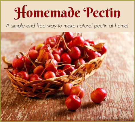 Homemade Pectin: It's Easy to Make, It's Natural, and It's Free! Diy Pectin, Homemade Pectin, Diy Canning, Food Alternatives, Banana Jam, Christmas Jam, Strawberry Jam Recipe, Canned Tomato Soup, Homemade Pickles