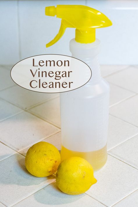 Lemon-Vinegar Cleaner is an easy to make, nice smelling, economical, non-toxic, all-natural, environmentally friendly, way to clean the house! And, it uses something that grows freely around my house: LEMONS! Lemon And Vinegar Cleaner, Vinegar And Water Cleaner, Lemon Vinegar Cleaner, Vinegar Cleaner Recipe, Lemon Vinegarette, Vinegar Cleaning Hacks, Vinegar Cleaning Spray, Homemade Glass Cleaner, House Schedule