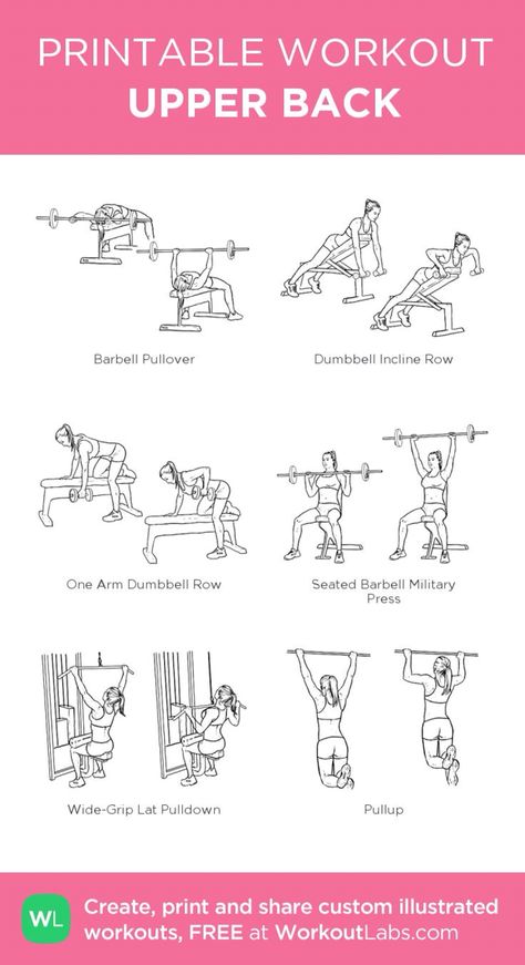 Upper back workout Back Chest And Arm Workouts, Back Workout Equipment Gym, Gym Exercise For Back, Workout For Upper Back, No Machine Back Workout, Upper Back Workout Gym, Gym Reps Workout Plans, Back Weights Workout, Back Workout Routine Gym