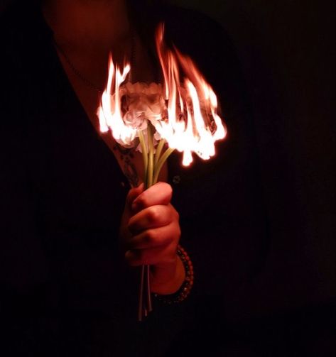 Flower Burning Aesthetic, Fire Aesthetic Pictures, Flowers On Fire Aesthetic, Fire Couple Aesthetic, Pretty Fire Aesthetic, Fire Hands Aesthetic, Burn Aesthetic Pictures, Burning Things Aesthetic, Fire Flower Aesthetic