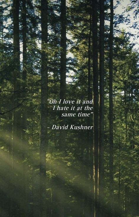 David Kushner Lyrics Wallpaper, Daylight Song David Kushner, Daylight David Kushner Spotify, David Kushner Quotes, Daylight David Kushner Aesthetic, David Kushner Aesthetic Wallpaper, Daylight David Kushner Wallpaper, David Kushner Poster, Daylight David Kushner Lyrics