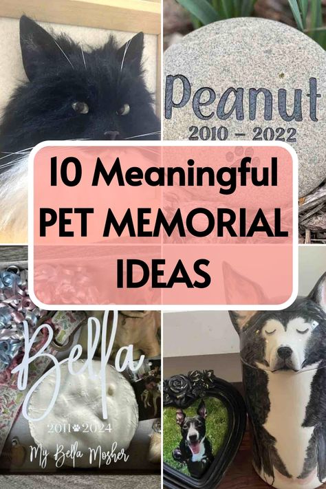 Explore a compilation of 32 distinctive ways to pay tribute and cherish the memory of your treasured four-legged companions. Enhance your pet memorial with these creative and heartfelt ideas. Diy Pet Memorial Ideas, Pet Memorial Diy, Personalized Memorial Stones, Dog Shadow Box, Pet Memorial Ideas, Memory Ideas, Easy Pets, Pet Keepsake, Memorial Ideas