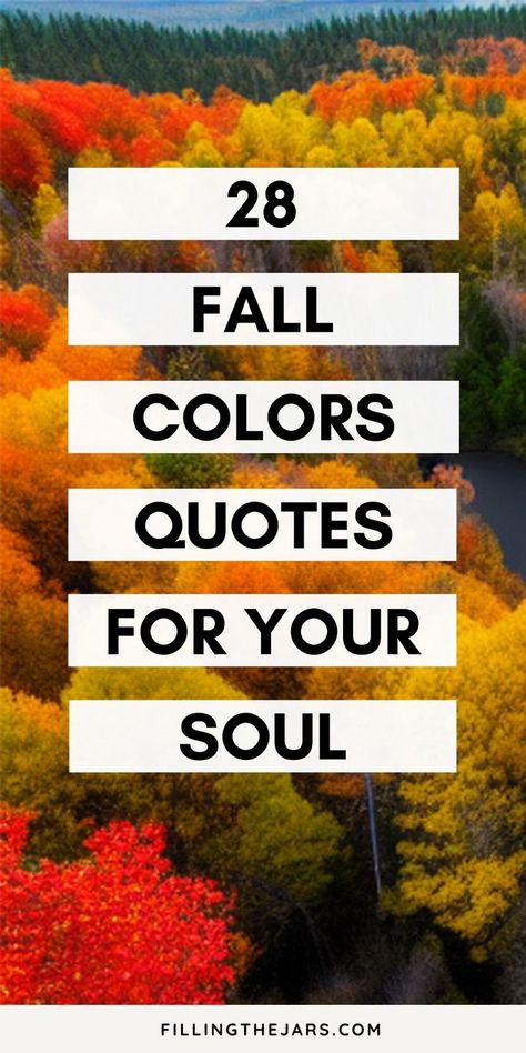 Autumn Is My Favorite Season, My Favorite Color Is Fall, My Favorite Color Is Autumn, Fall Is My Favorite Season, Fall Beauty Quotes, Fall Colors Quotes, Happy Autumn Quotes, Fall Color Quotes, Autumn Aesthetic Quotes