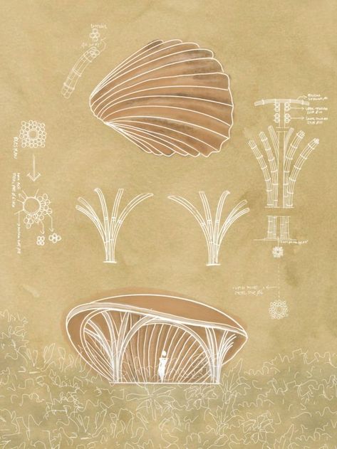 Sea Shells Concept Architecture, Shell Design Concept Architecture, Sea Shell Architecture, Round House Interior Design, Form Exploration Architecture, Wave Inspired Architecture, Pavillion Design Concept, Sea Architecture Concept, Natural Architecture Design