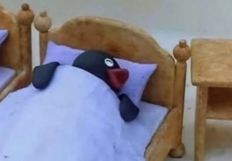 Pingu Memes, Pingu Pingu, Sleep Meme, Image Meme, Music Cover Photos, Noot Noot, Cartoon Memes, Funny Reaction Pictures, Cute Memes