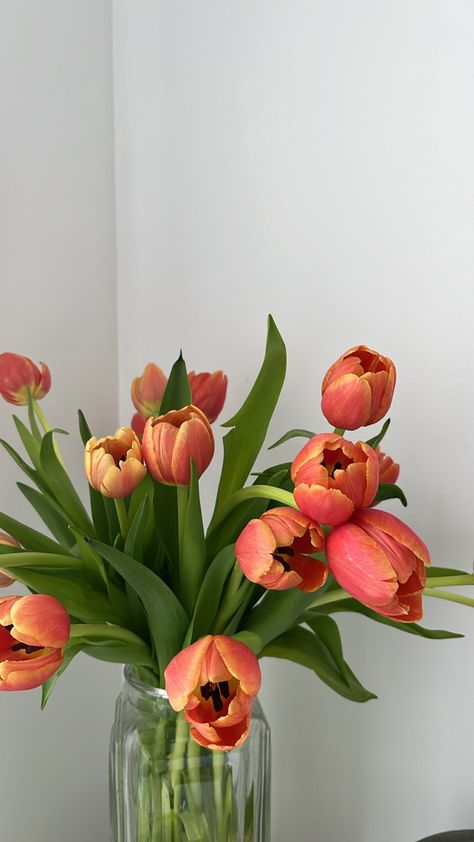 Orange tulips in vase Tulips And Poppies, Orange Tulips Aesthetic Wallpaper, Spring Bouquet In Vase, Flowers In Vase Aesthetic, Pink And Orange Tulips, Vase With Tulips, Vase Of Tulips, Tulip Aesthetic, Tulips Vase