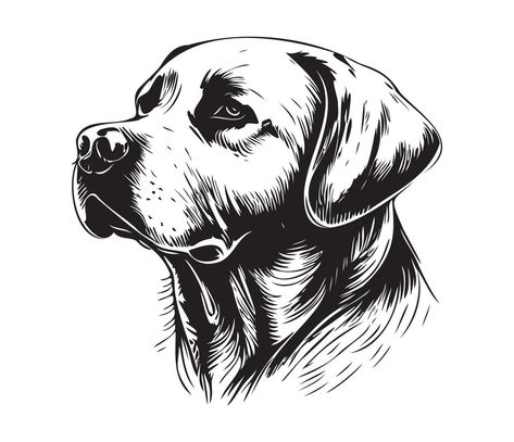 Labrador Outline, Face Black And White, Line Drawing Tattoos, Silhouette Dog, White Labrador, Face Silhouette, Drawing Tattoo, Beautiful Locations Nature, Black Labrador