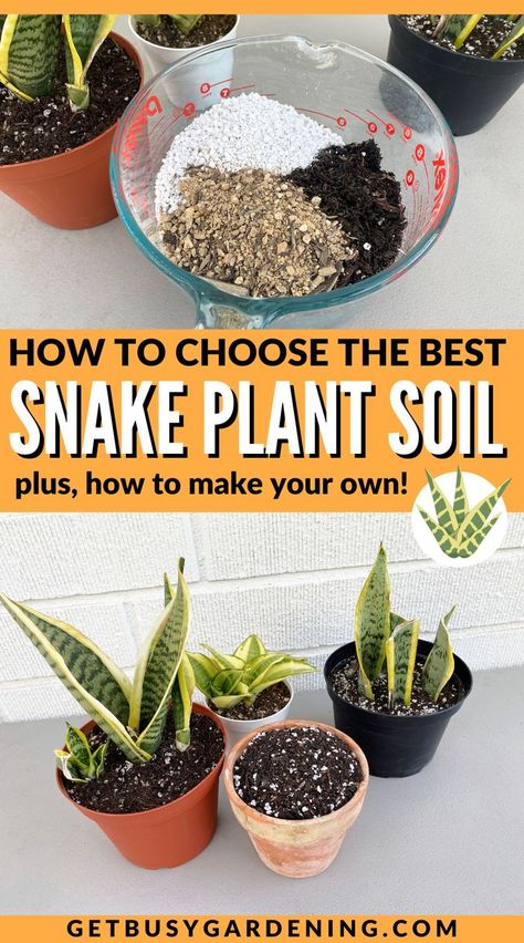 Using the right type of soil for snake plants is very important. I’ll tell you all you need to know, including the best type, what properties to look for, and I’ll also give you my soil recipe so you can mix your own. This guide covers the type of soil that snake plants need in order to thrive. You’ll learn which ones you can use, the properties to look for, and even how to mix your own with my easy soil recipe. Check out this snake plant care and soil guide. Snake Plant Soil, Snake Recipe, Soil Recipe, Snake Plant Care, Snake Plants, Plant Care Houseplant, Succulent Soil, Growing Plants Indoors, Houseplants Indoor