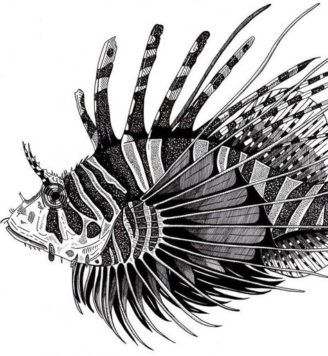 Big Eyed Fish, Crab Art, Woodcut Art, Stippling Art, Fish Artwork, Coral Art, Jellyfish Art, Lion Fish, Arte Cyberpunk