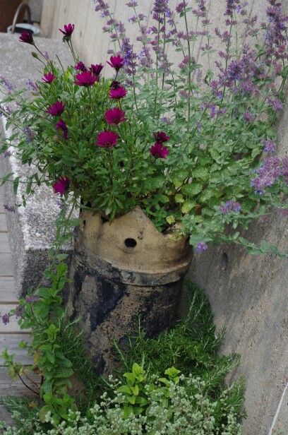 We have one if these! Must clean out the snails first! Like the look of lavender in it . Chimney Pot Planter Ideas, Garden Chimney, Pot Planter Ideas, Chimney Pot Planter, Biodiversity Art, Terrace Yard, Montessori Garden, Cottage Garden Patio, Chimney Pots