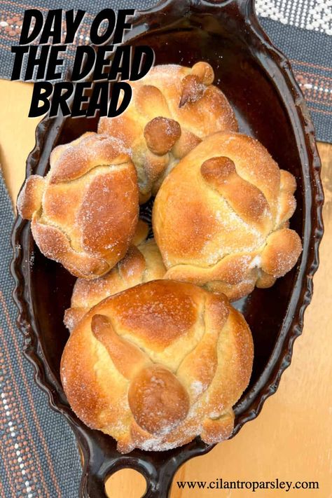 This Day of the Dead Bread Recipe, or Pan de Muerto, is a traditional Mexican bread made during the celebration of Dia de los Muertos. Day Of The Dead Bread Recipe, Dead Bread Recipe, Day Of The Dead Bread, Bread Of The Dead, Cilantro Parsley, Mexican Bread, Mexican Day Of The Dead, Honey And Soy Sauce, Honey Soy