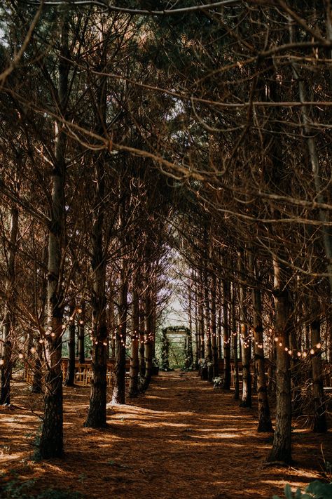 Granville Ohio, Untraditional Wedding, Twilight Wedding, Orchard House, Forest Theme Wedding, Enchanted Forest Wedding, Dark Wedding, Forest Theme, Future Wedding Plans