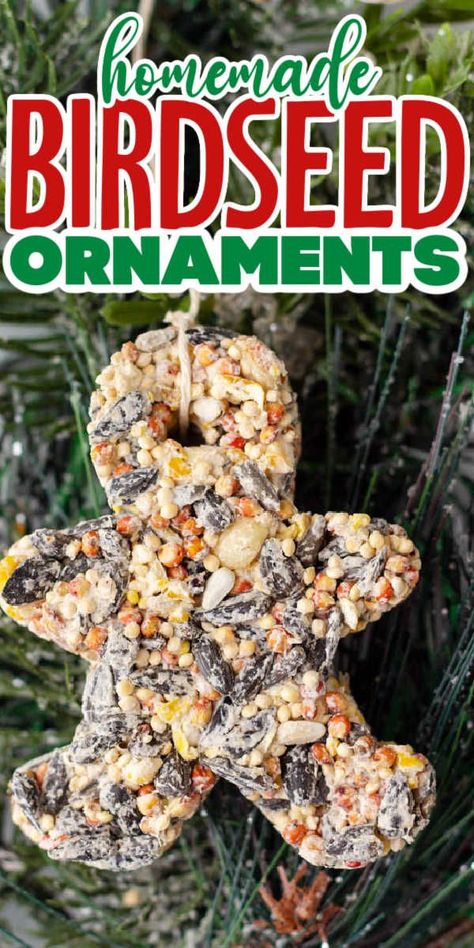 Engage in a fun and creative activity with your kids by making bird seed ornaments. Perfect for feeding the birds in your yard or as thoughtful gifts! Bird Seed Sensory Bin, Homemade Bird Seed Ornaments, Birdseed Ornaments Recipe Peanut Butter, How To Make Bird Seed Ornaments, Peanut Butter Bird Seed Ornaments, Diy Nature Christmas Ornaments, Birdseed Ornaments Recipe, Gifting Seeds, Squirrel Scouts