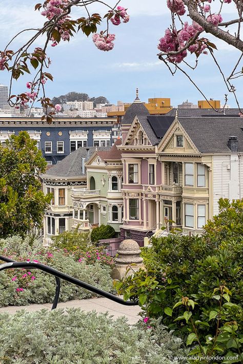 Alamo Square, San Francisco California Spring Break, Spring Travel Destinations, San Francisco Itinerary, California With Kids, Trip To San Francisco, Alamo Square, San Francisco Travel, Anniversary Ideas, Spring Trip