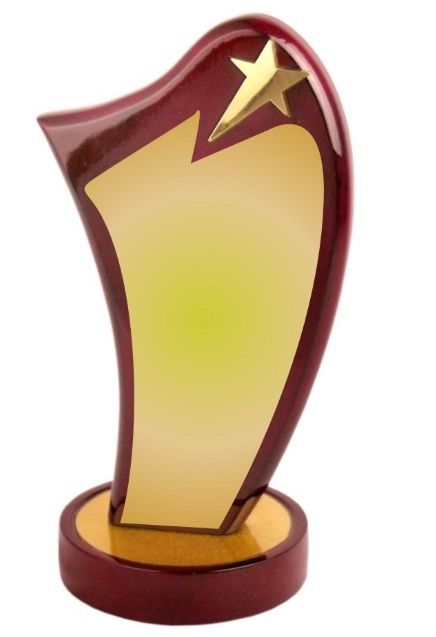 Angels Trophies Leading manufacturers in gurgaon for #WoodenAwards #plaques #woodentrophies corporate awards, #medals #badges and many more types of trophies and awards. Buy trophy online from us at whole price and get discount up to 45% for resellers. #woodenplaque #plaque #shields are available with #customised printing and laser engraving. Buy wooden awards and plaques from the largest manufacturer in gurgaon. Leading manufacturer of Trophy Medals and corporate gifts in India. Explore more . Wooden Award Trophy Design, Wooden Trophy Design, Award Plaque Design, Wooden Trophy, Wooden Award, Baby Boy Balloons, Room Wallpaper Designs, Heaven Painting, Graduation Images