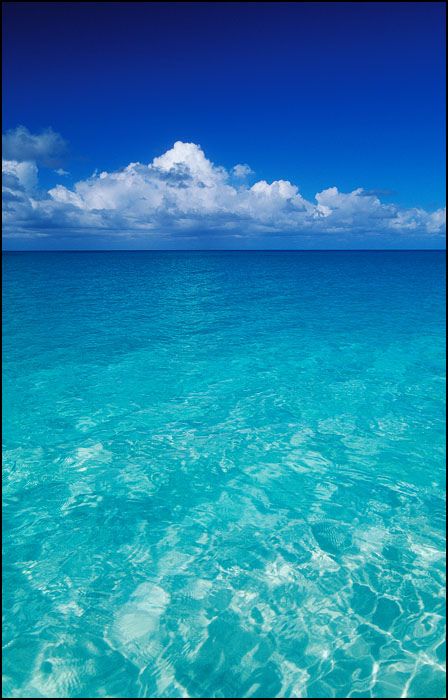 Ocean Underwater, Ocean Sky, Tropical Beaches, Ocean Wallpaper, Beach Wallpaper, Ocean Water, Hawaii Beaches, Sky And Clouds, Sea And Ocean