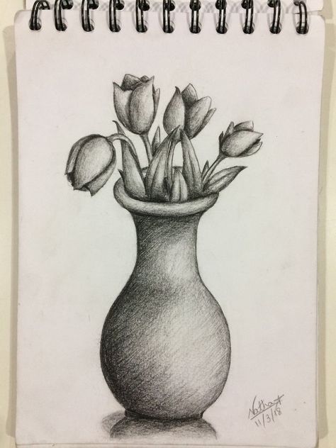 Art Sketches Still Life, Flower Pencil Drawings Easy, Still Nature Drawing, Easy Pencil Shading Drawings, Drawing In Class Sketch, Still Life Pencil Shading Easy, Easy Still Life Drawing Pencil Sketch, Vase Drawing Pencil, Still Art Drawing