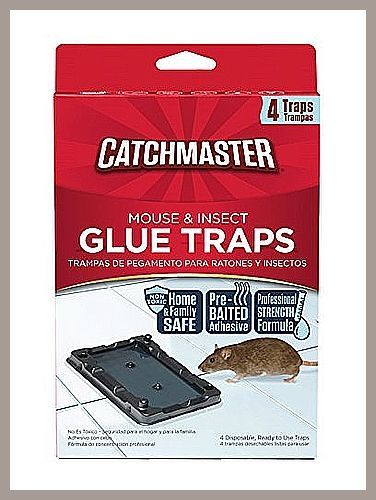 Catchmaster Mouse & Insect Professional Strength Glue Traps - Non Toxic - 4 Glue Trays Glue Traps, Formula 4, Professional Strengths, Non Toxic, Pest Control, Lawn Garden, Insects, Glue, Lawn