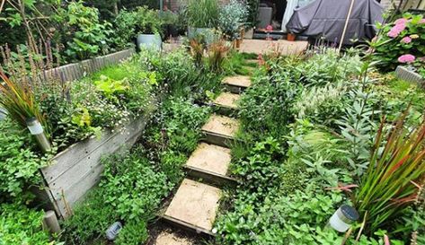 Gardens For Dogs, Dog Safe Garden, Dog Friendly Backyard Ideas, Dog Enrichment Garden, Dog Friendly Vegetable Garden, Backyard Enrichment For Dogs, Sensory Garden For Dogs, Outside Dog Enrichment, Dog Backyard Area