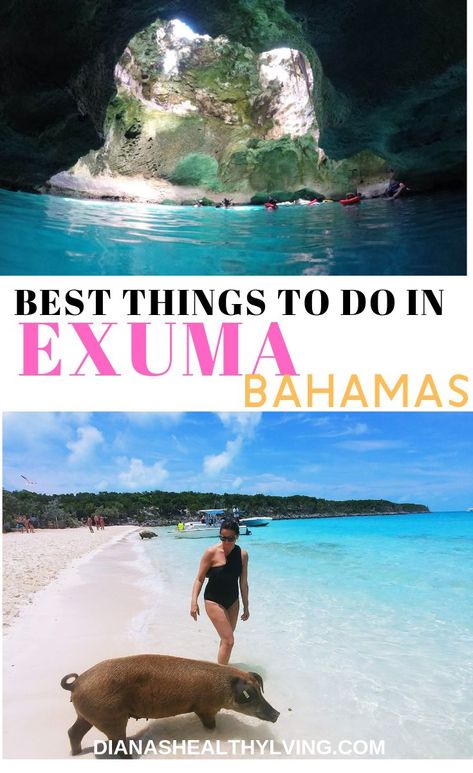 Exuma Bahamas Where To Stay, Exuma Bahamas Things To Do, Things To Do In The Bahamas, Bahama Vacation, Bahamas Exuma, Bahamas Travel Guide, Bahamas Trip, Exuma Island, Swimming With Sharks