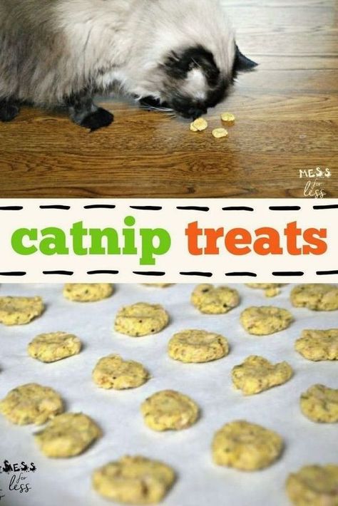 These Catnip Treats take 30 minutes to prepare! Feel good about what you give your cat with these delectable snacks that you can make using things you already have at home. Cat Treats Homemade Healthy, Diy Cat Treats Recipes, Homemade Cat Treats Recipes, Diy Cat Treats, Kitty Treats, Diy Cat Food, Catnip Treats, Pet Treats Recipes, Homemade Cat Food