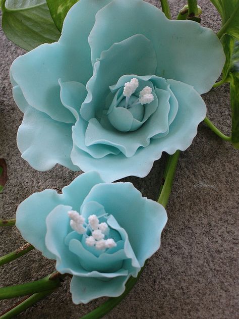 These are gum paste flowers made by using the heart shaped cookie cutter, foam, and the ball tool. Tiffany Blue Flowers, Flower Types, Gum Paste Flowers, Most Beautiful Flowers, Unique Flowers, Exotic Flowers, Flower Beauty, Tiffany Blue, Beautiful Blooms