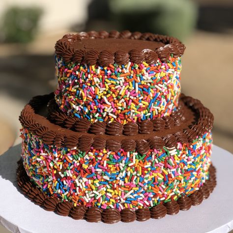 Two-tiered chocolate birthday cake with rainbow sprinkles Rainbow Chocolate Cake, Cute Chocolate Cake, Chocolate Sprinkle Cake, Two Layer Chocolate Cake Birthday, Chocolate Cake Sprinkles, Chocolate Cake Covered In Sprinkles, Two Tier Sprinkle Cake, Birthday Cake With Sprinkles Inside, Rainbow Sprinkle Cakes