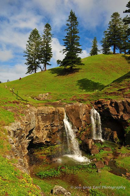 Cockpit Falls, Norfolk Island | Australia by Greg Earl Photography, via Flickr Australian Photography, Australian Continent, Norfolk Island, Island Photography, Chasing Waterfalls, Stay Forever, Water Falls, Island Getaway, Local Community