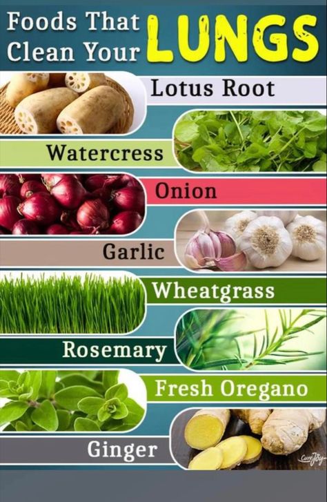 Clean lungs Clean Lungs, Food For Kidney Health, Food Health Benefits, Healthy Food Facts, Home Health Remedies, Herbal Healing, Nutrient Rich Foods, Herbs For Health, Natural Health Remedies