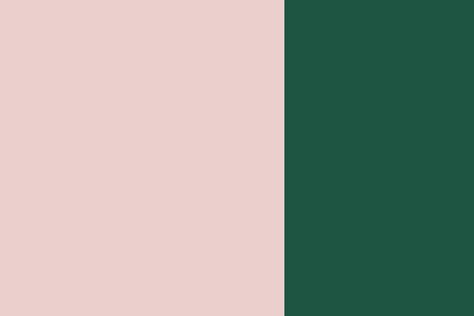 green and pink vintage feel Color Palette Dark Green Pink Color Palette, Pink And Dark Green Aesthetic, Green And Pink Branding, Colors That Compliment Green, Pink Green Color Palette, Green And Pink Palette, Pink And Green Colour Palette, Wedding Palate, Forest Green And Pink