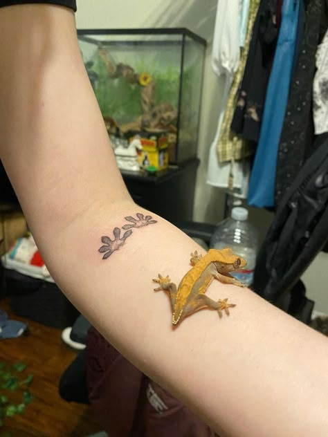 Crested Gecko Tattoo Ideas, Reptile Tattoo Ideas, Crested Gecko Tattoo, Leopard Gecko Tattoo, Leopard Gecko Cute, Crested Gecko Care, Gecko Tattoo, Gecko Terrarium, Lizard Tattoo