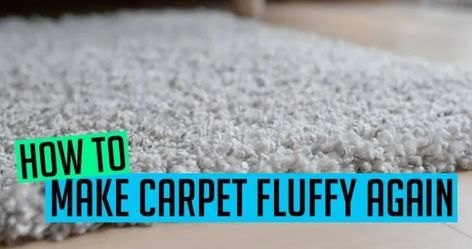 How To Make Carpet Fluffy Again, How To Stretch Carpet Diy, How To Refluff Matted Carpet, Matted Carpet Revive, How To Fluff Carpet Back Up, Shampooing Carpets Tips, Smelly Carpet How To Get Rid Of, Refresh Carpet, Cleaning Basics