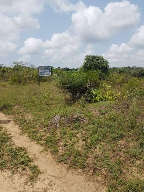 Plots of Land for sale @ Brit property Nigeria. Ltd.100% dry land. Very affordable  Our lands are at Ibeji lekki, Elerangbe community with a proximity to the cargo airport, Dangote refineries and other attractions. Plot Of Land For Sale, Land Property Real Estates, Owning Property, Land Purchase, Land Plot, David Draiman, Buying Land, 2025 Goals, Supreme Iphone Wallpaper