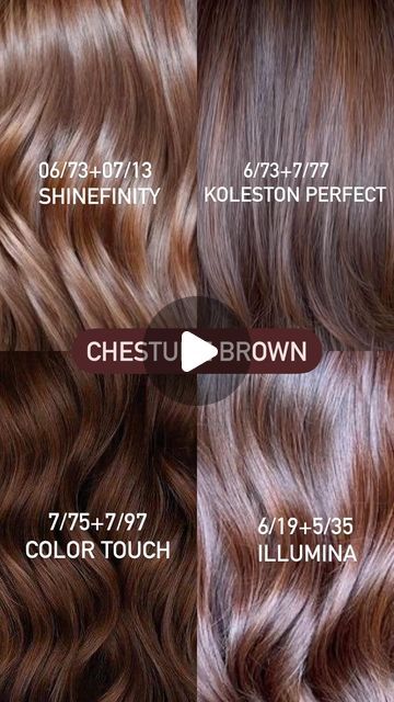 Wella Brown Hair Color Chart, Cinnamon Brown Hair Color Formula, Brown Color Formulas, Wella Formulas Brown, Wella Brown Color Formulas, Wella Hair Formulas, Wella Koleston Perfect Formulas, Wella Shinefinity Formulas, Wella Color Formulas