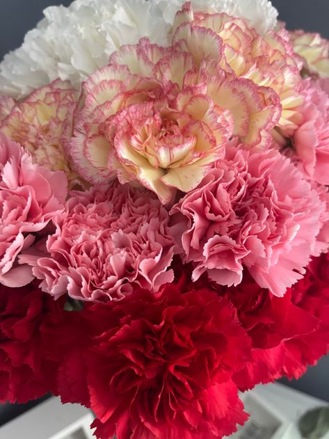 Coronation Flowers, Carnation Flower Bouquet, Carnation Bouquet, Carnation Flowers, Rosé Aesthetic, Pink Carnations, Carnation Flower, Nothing But Flowers, Flower Therapy