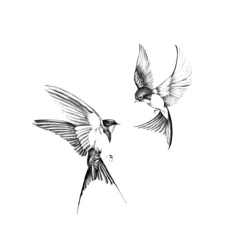 3 Swallows Tattoo, 11 11 Tattoo Ideas Design, Two Swallows Tattoo, Tattoo Golondrina, Swallows Tattoos, Wagtail Tattoo, Swallow Drawing, Birds Tattoo Design, Golondrinas Tattoo